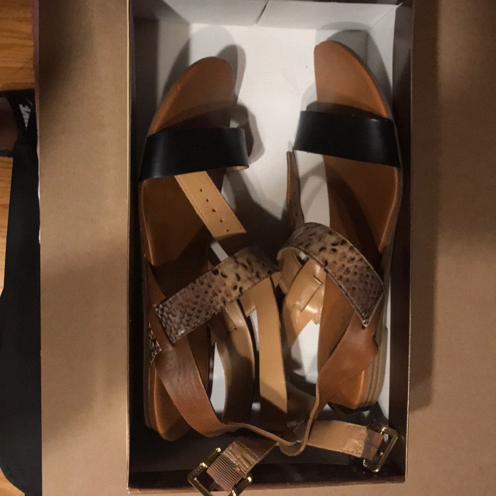 Franco Satro Black and Neutral Sandal